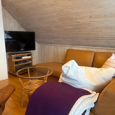 Koselig Med Flott Utsikt Appartement